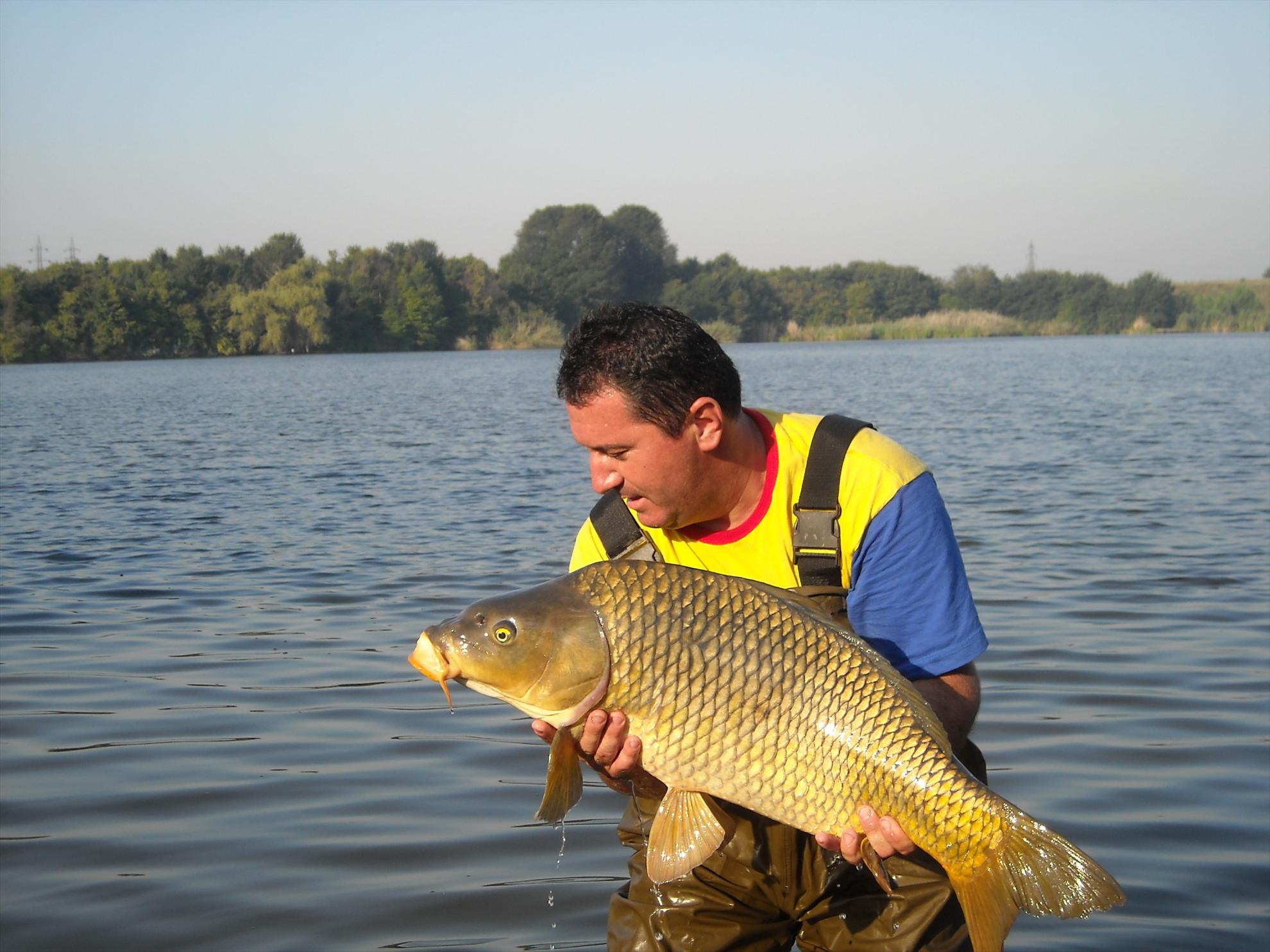 Cupa City Center-2010 - dscn8112.jpg